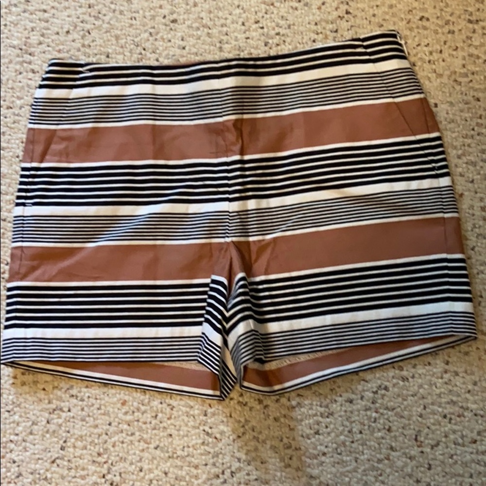 Loft shorts